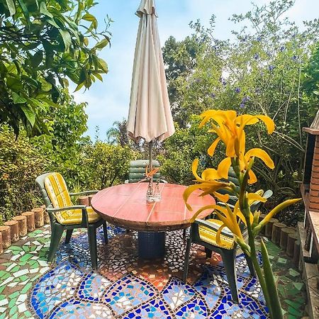 Canarian Cottage With Terrace Surrounded By Garden - Alisios 라오로타바 외부 사진