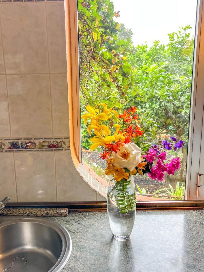 Canarian Cottage With Terrace Surrounded By Garden - Alisios 라오로타바 외부 사진