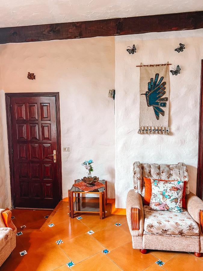 Canarian Cottage With Terrace Surrounded By Garden - Alisios 라오로타바 외부 사진