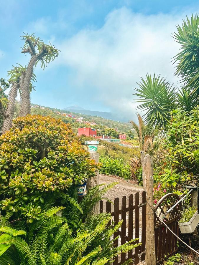 Canarian Cottage With Terrace Surrounded By Garden - Alisios 라오로타바 외부 사진