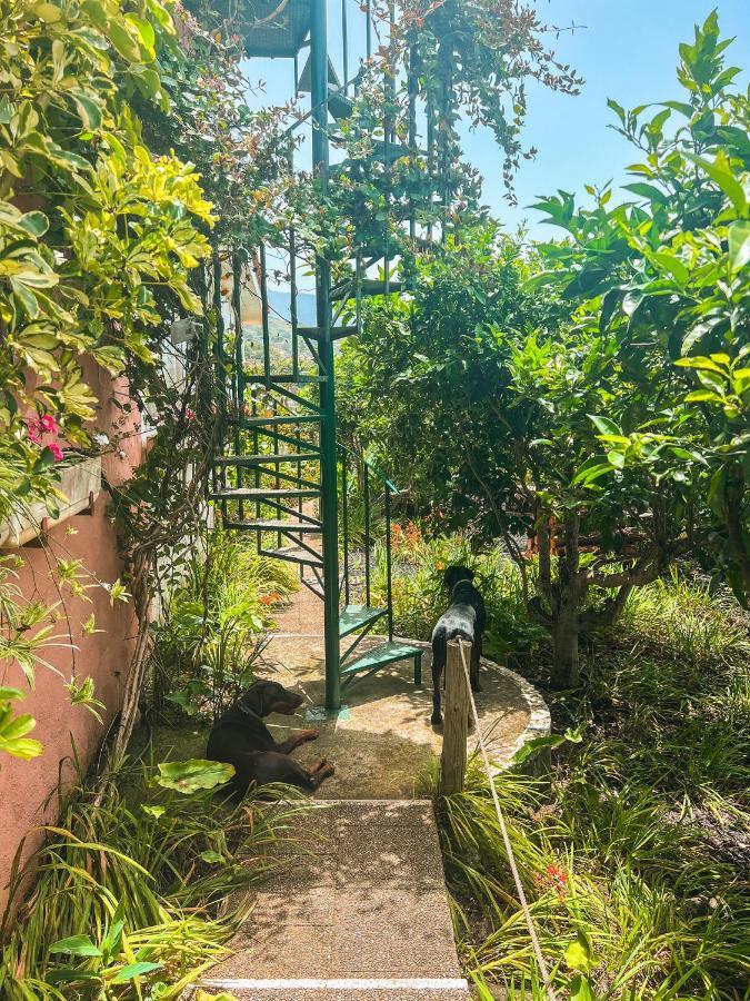 Canarian Cottage With Terrace Surrounded By Garden - Alisios 라오로타바 외부 사진