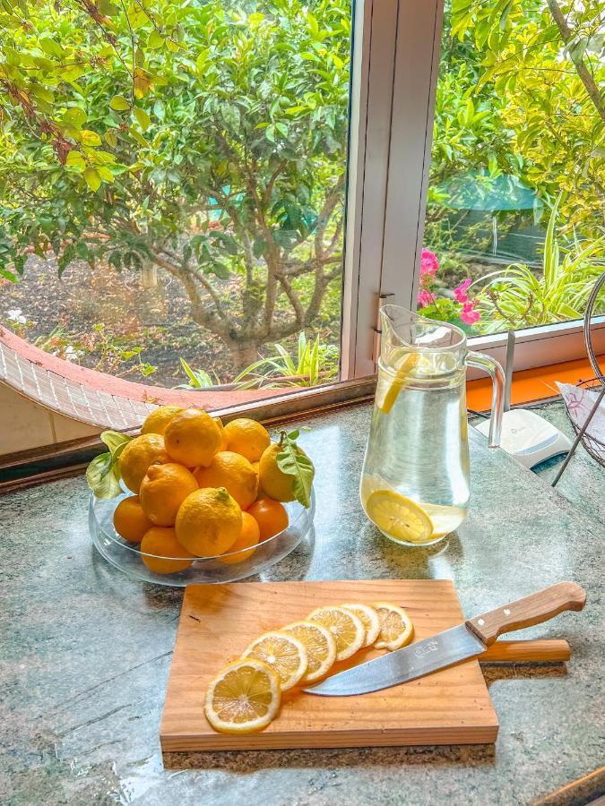 Canarian Cottage With Terrace Surrounded By Garden - Alisios 라오로타바 외부 사진