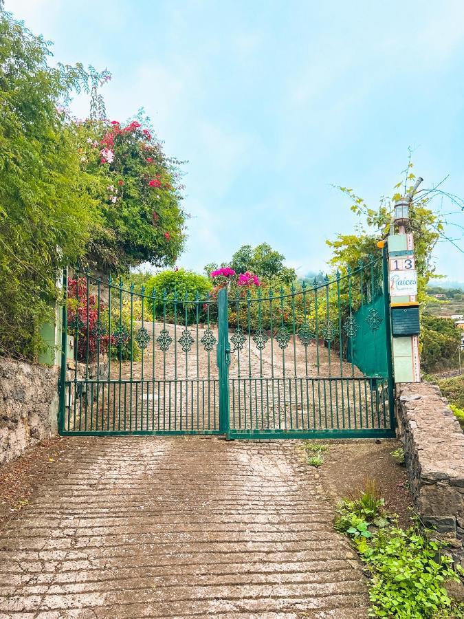 Canarian Cottage With Terrace Surrounded By Garden - Alisios 라오로타바 외부 사진